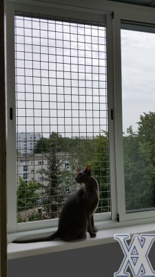 zashchita ot vypadeniya kota 1